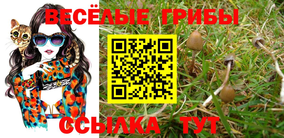 Псилоцибиновые грибы MAGIC MUSHROOMS  Вход с VPN  Псков 