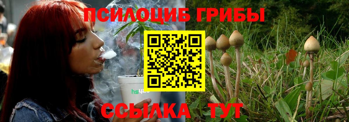 Галлюциногенные грибы GOLDEN TEACHER Псков